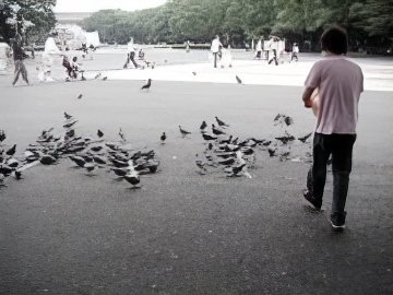 26-topaz-low resolution v1-2x.jpg