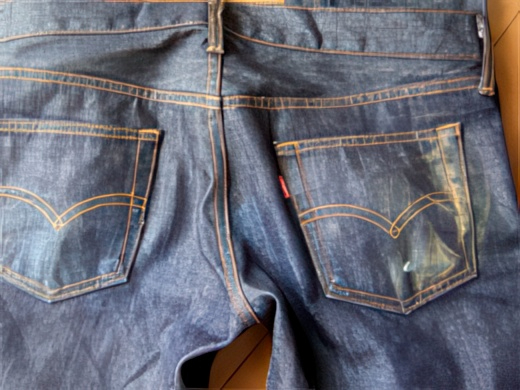 12-topaz-low resolution v2-2x.jpg