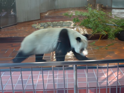 3-13-topaz-low resolution v2-2x.jpg