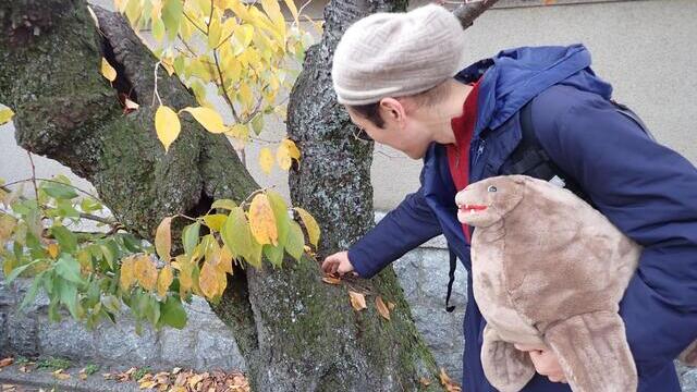 ぬいぐるみを掻くと自分も気持ちがいい気がする。しかしなぜだろう？考えてみた