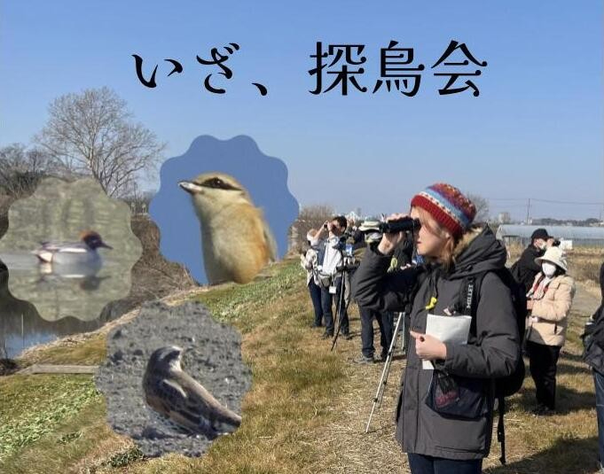 日本野鳥の会が主催するバードウォッチングイベント「探鳥会」に参加　春の訪れを感じてきた