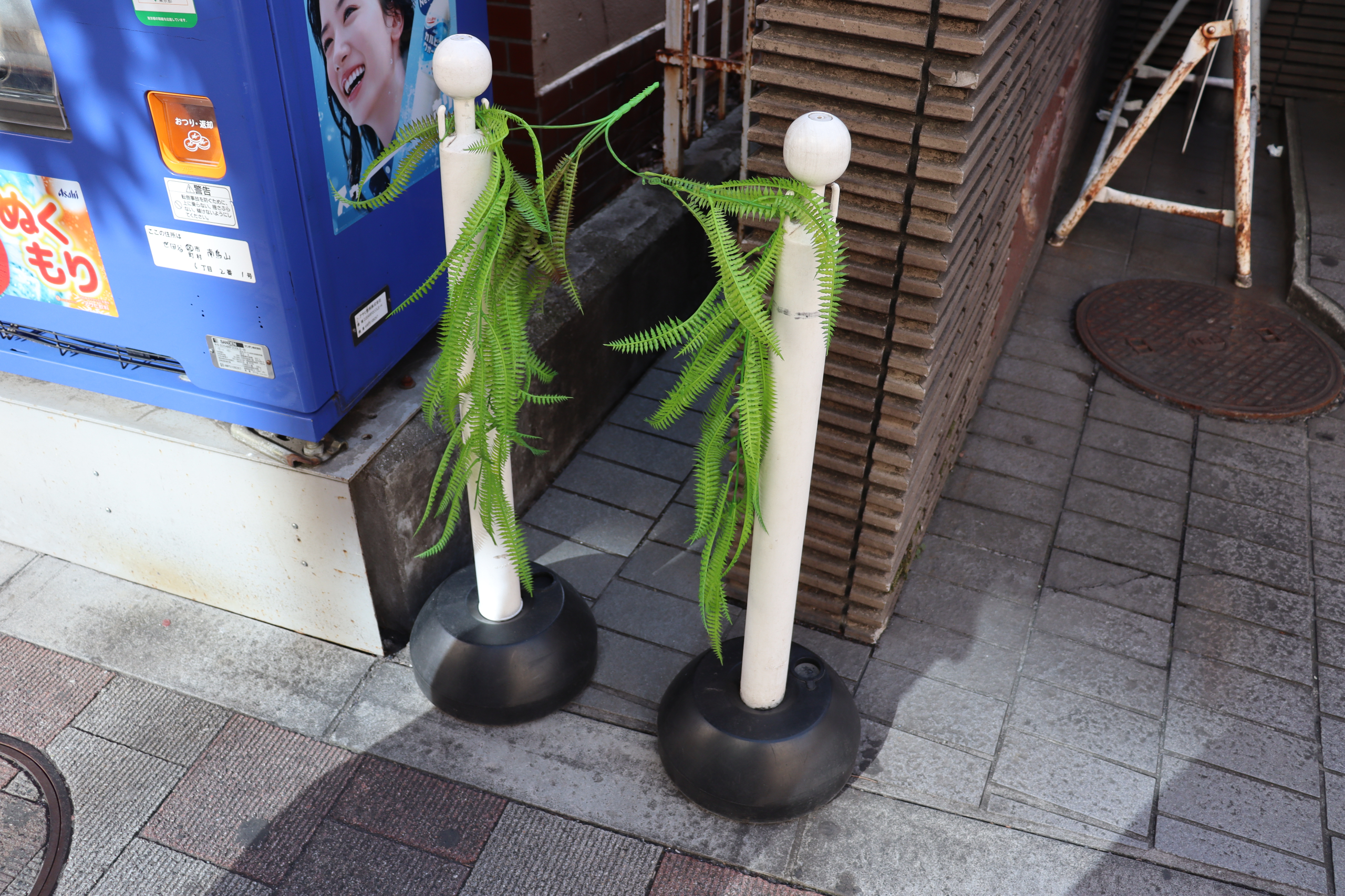 とりあえずの緑 (4).JPG