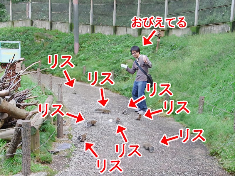18_photos_v2_x2.jpg