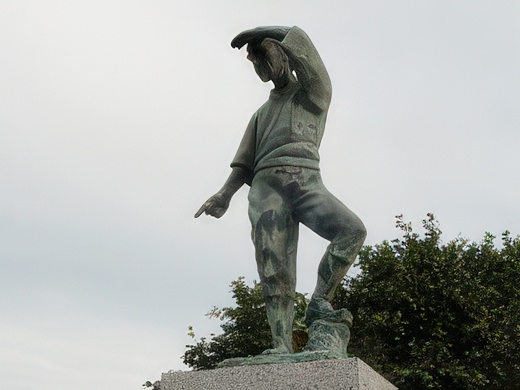 020-topaz-standard v2-2x.jpg