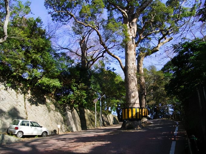 big_photos_v2_x2.jpg