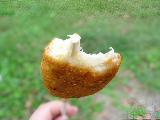 9-topaz-low resolution v1-2x.jpg