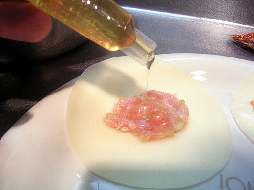 RIMG0573-topaz-standard v2-2x.jpg