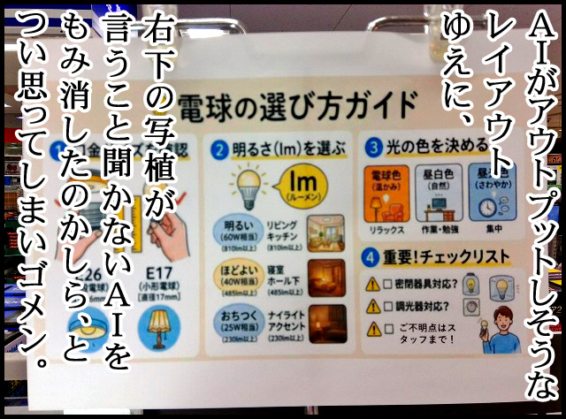 e04.jpg