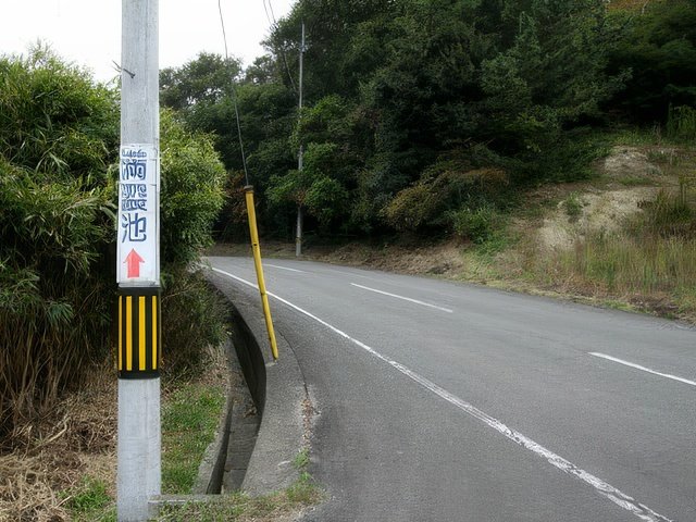 028-topaz-standard v2-640w.jpg