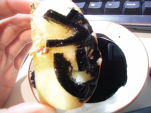 RIMG3417-topaz-standard v2-2x.jpg