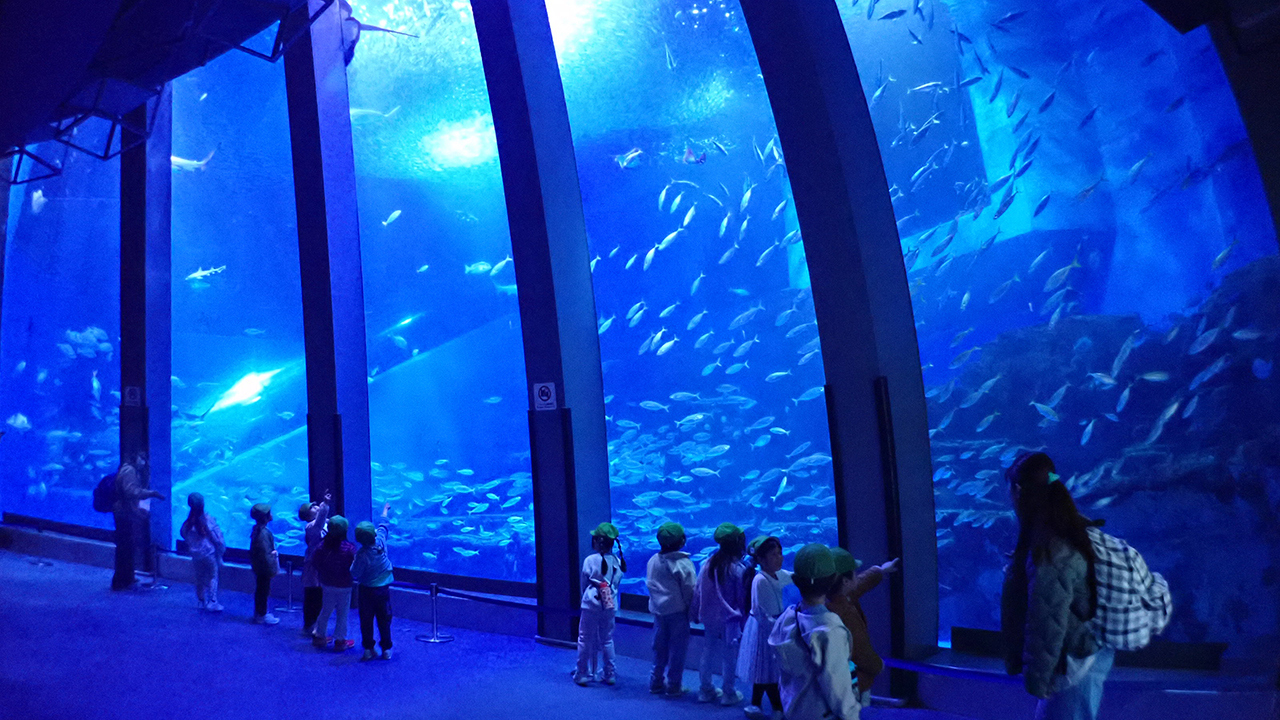 P2282165.jpg