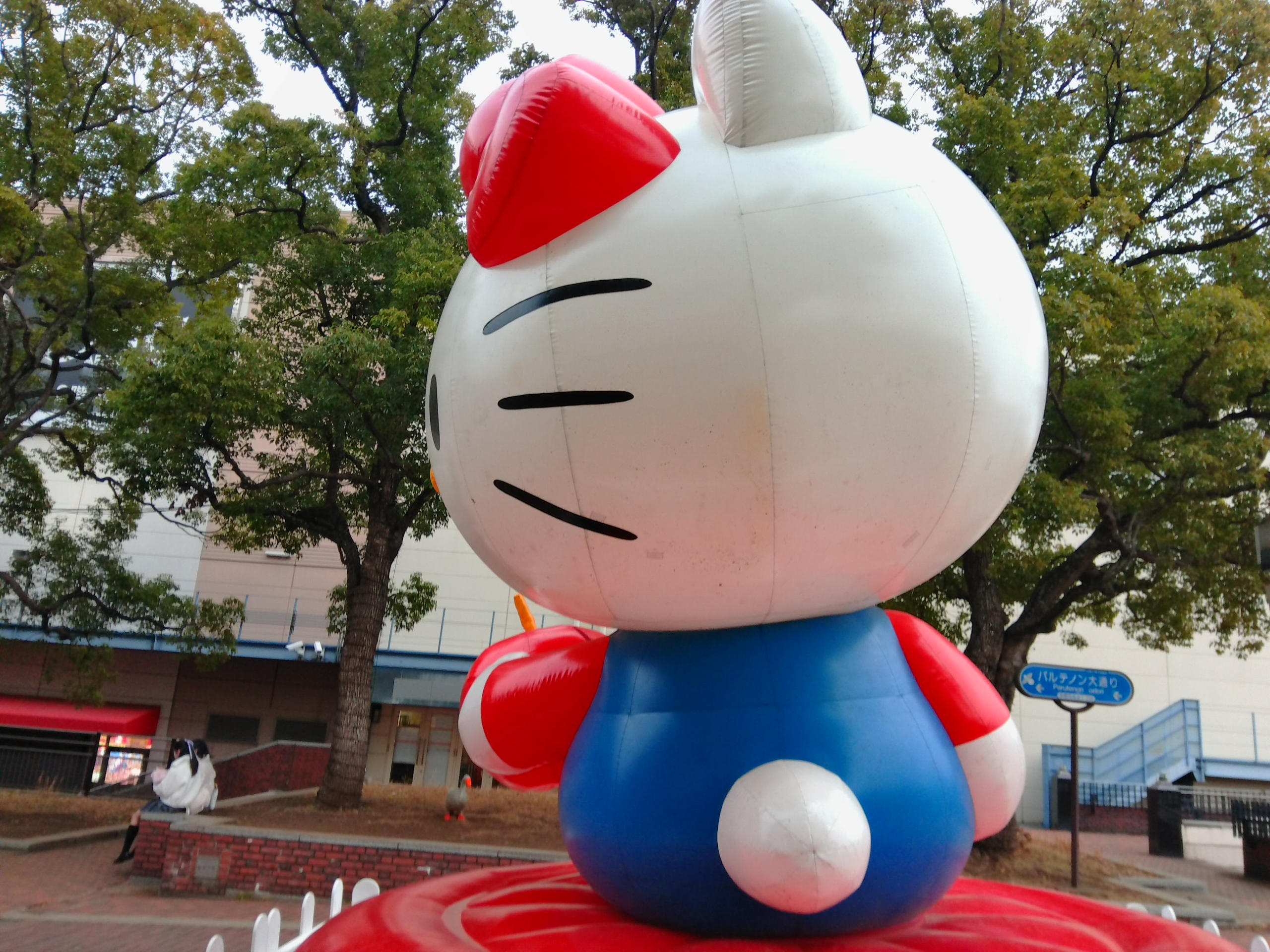 kity02 - ヨシダプロ.JPG