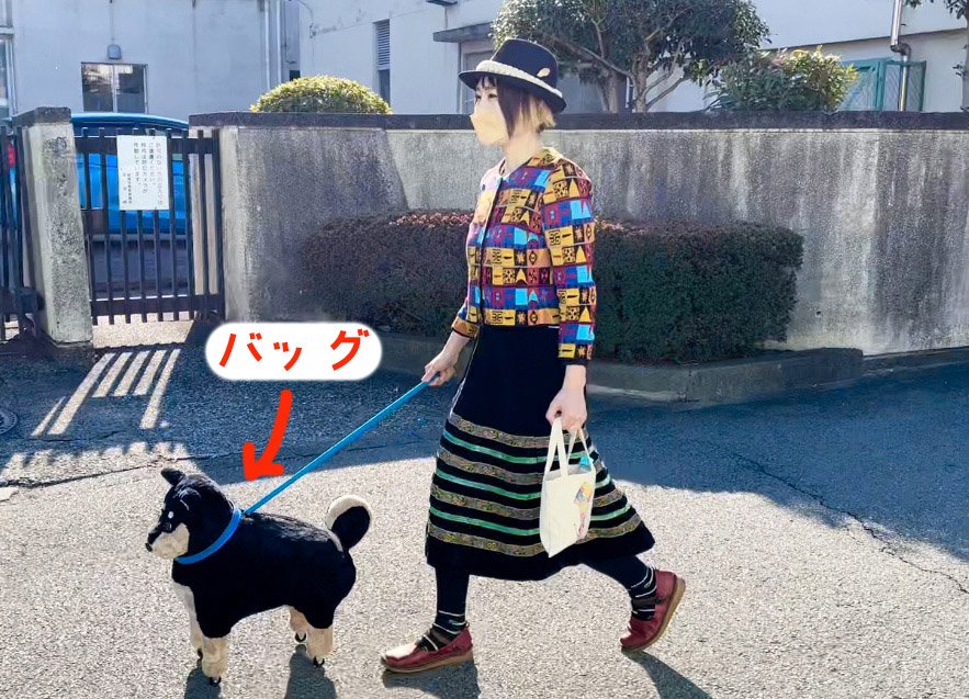 犬散歩.jpg