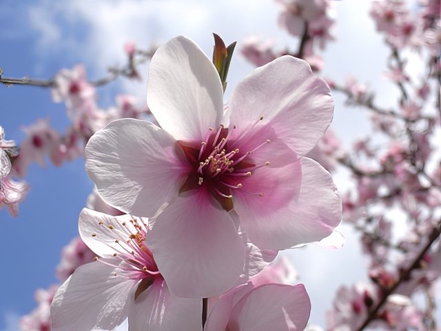 RIMG12094-topaz-low resolution-640w.jpg