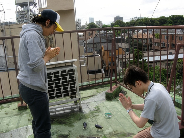 ufo007-topaz-standard v2-2x.jpg