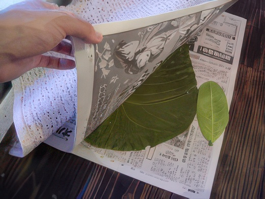 RIMG2648-topaz-standard v2-2x.jpg