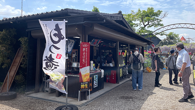 1年のうち牡丹祭の間だけしか営業しない埼玉の茶屋で飲む　豚カシラ肉の「東松山やきとり」が絶品