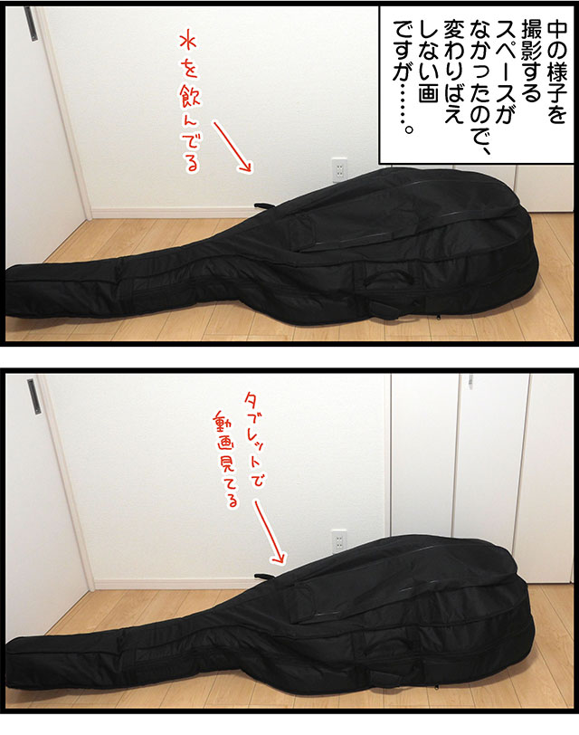 2001_コントラバスのケースイラスト_003_03.jpg