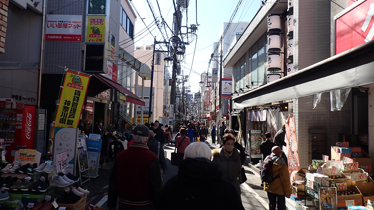 P1310627.jpg