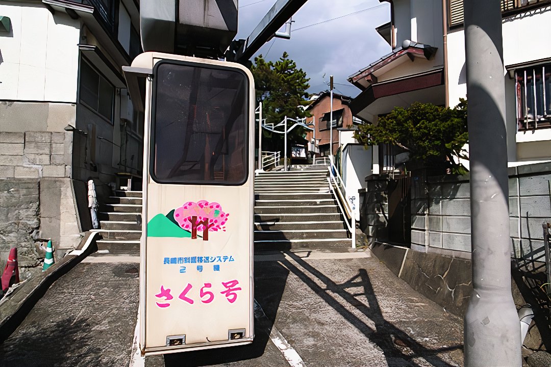 2_sakura_photos_v2_x2.jpg
