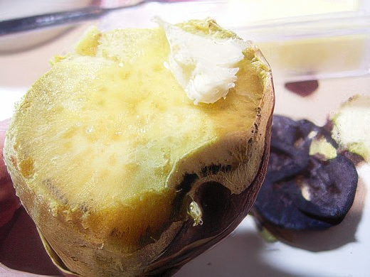 RIMG3492-topaz-standard v2-2x.jpg