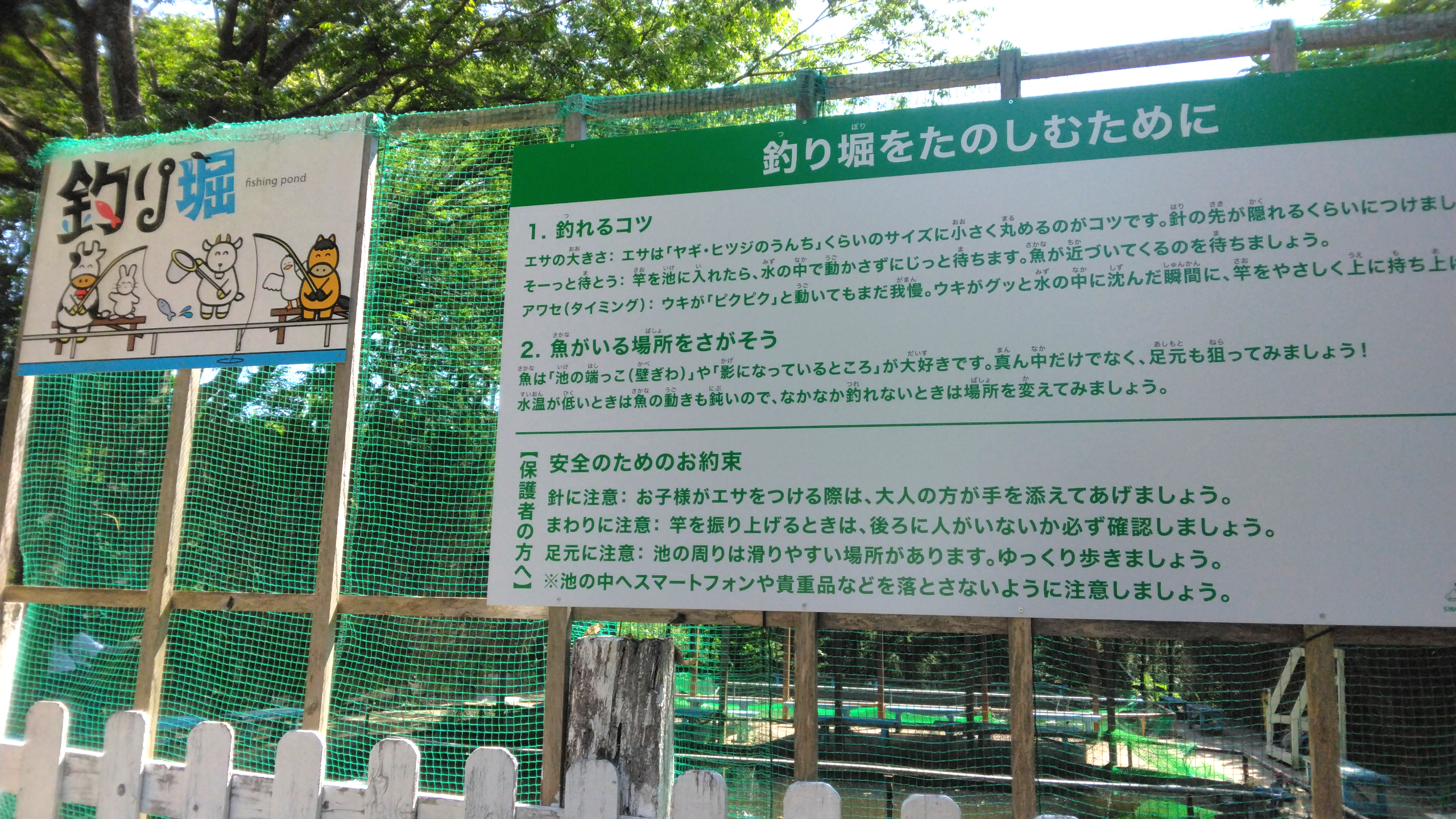 20260729-1.jpg