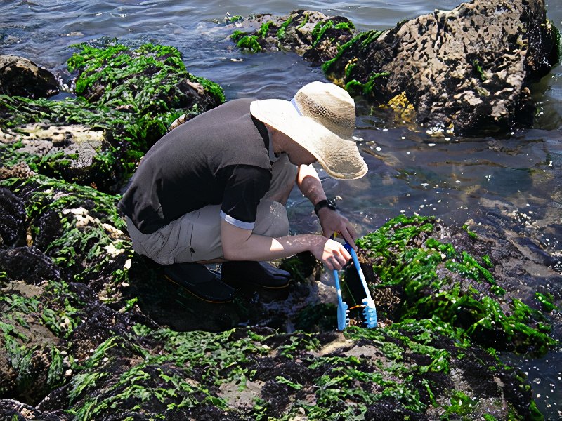 2007-06-16-154_photos_v2_x2.jpg