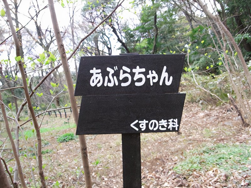 006_photos_v2_x2.jpg
