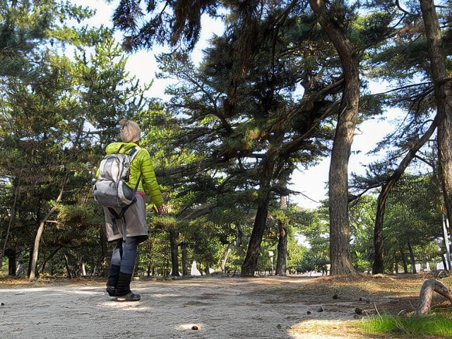 RIMG10160-topaz-standard v2-640w.jpg