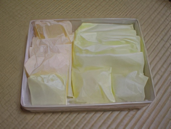 sub2-4c-topaz-low resolution v1-2x.jpg