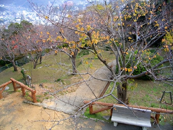 hanami_spot_photos_v2_x2.jpg