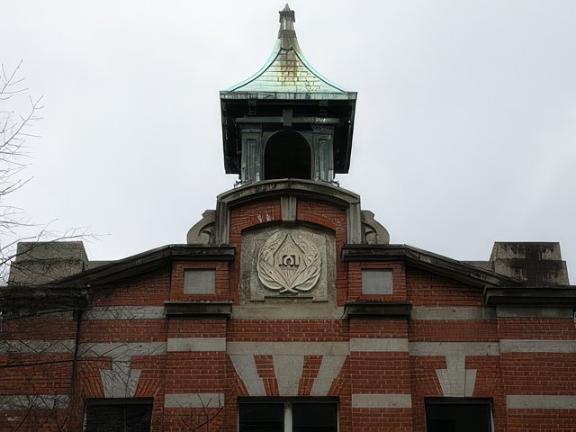 023-topaz-standard v2-640w.jpg