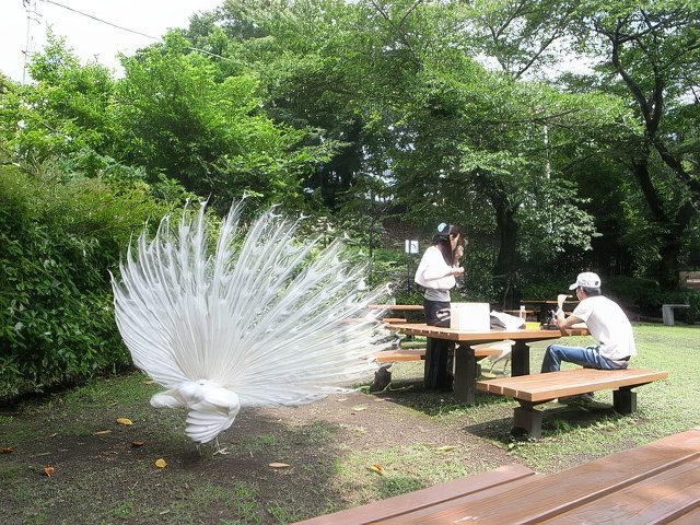 012-topaz-standard v2-640w.jpg