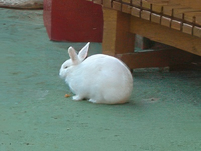 3-24-topaz-standard v2-2x.jpg