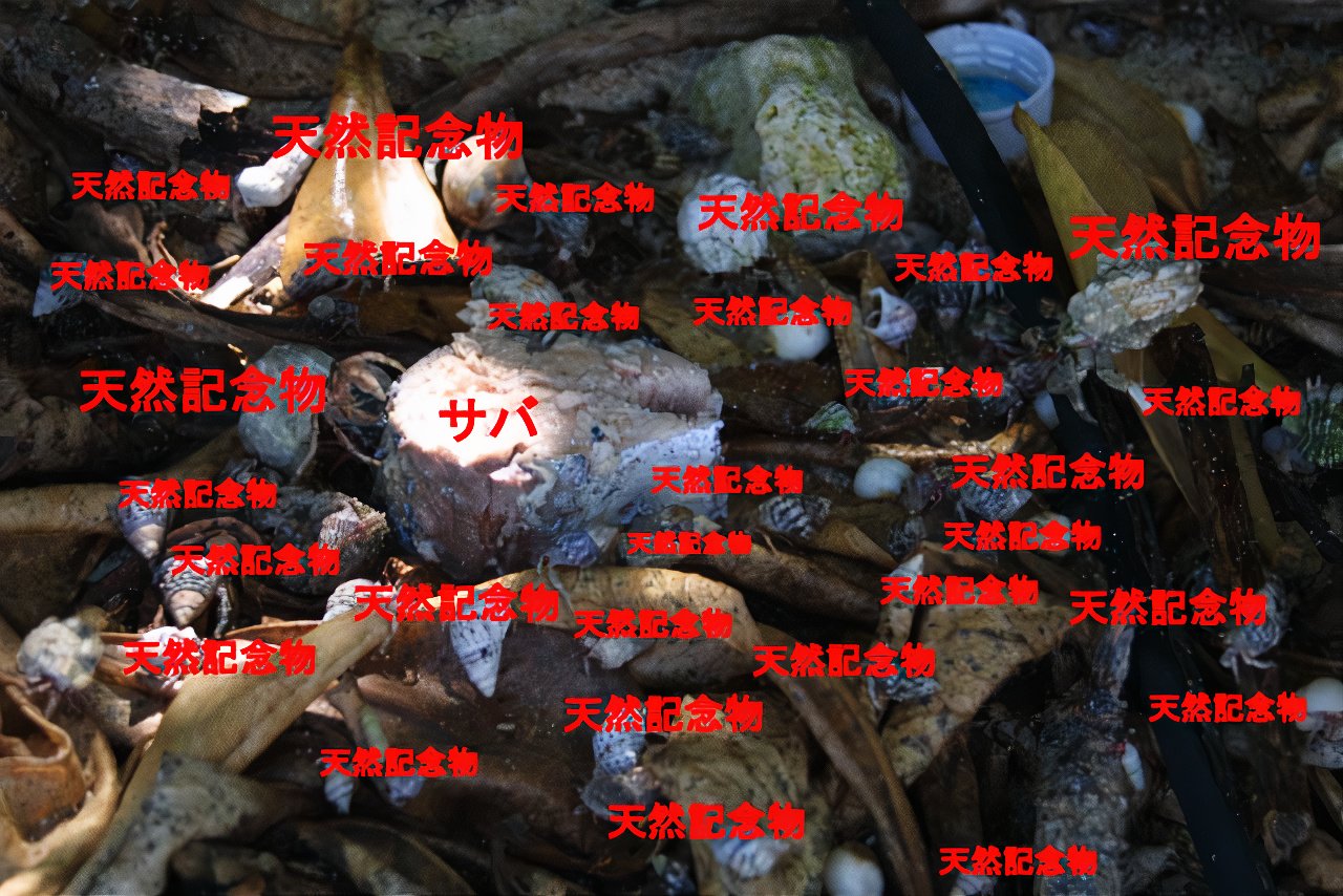 IMG_8704_2_photos_v2_x2.jpg
