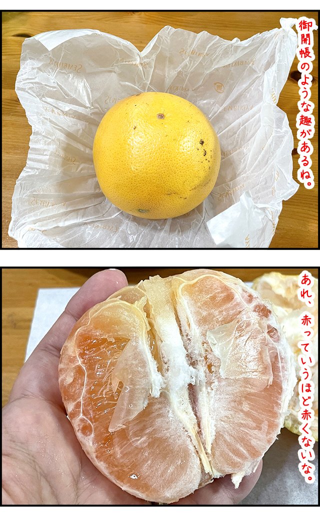 grapefruit_05.jpg