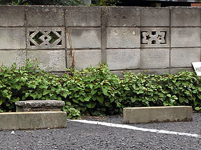 20070624 098_photos_v2_x2.jpg