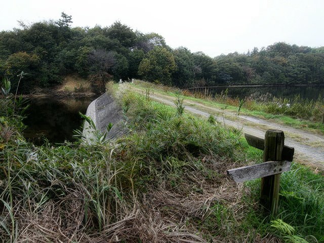 031-topaz-standard v2-640w.jpg