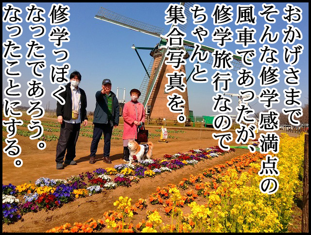 a18a12.jpg