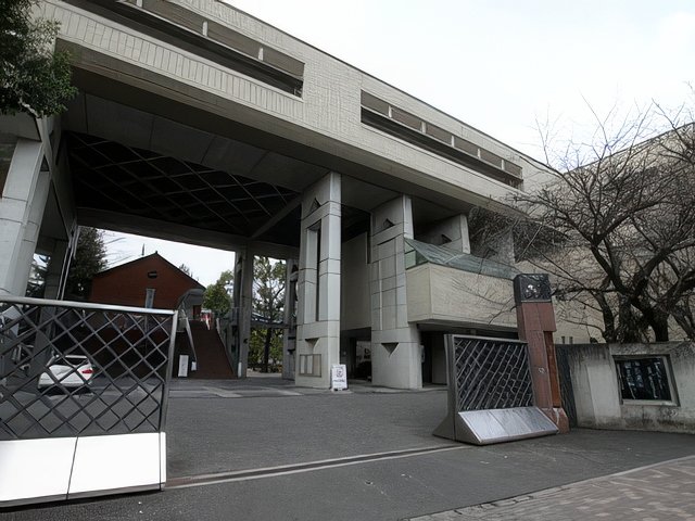 019-topaz-standard v2-640w.jpg