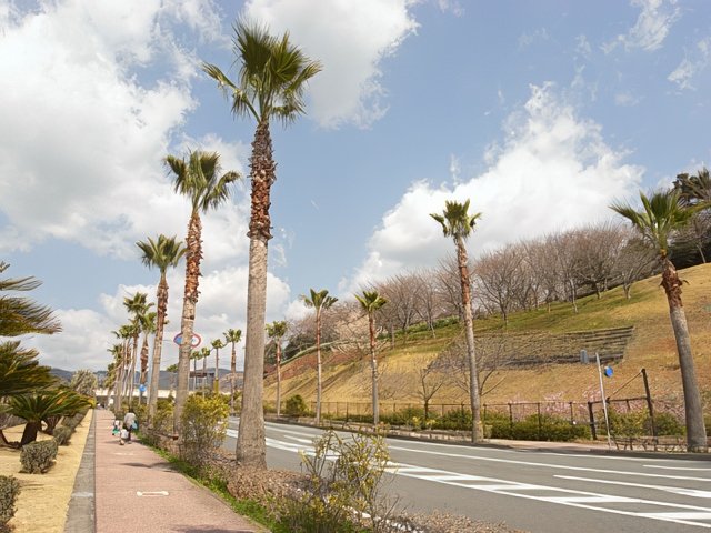 RIMG12047-topaz-high fidelity v2-640w.jpg