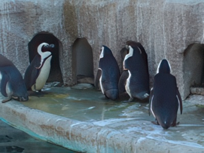 3-16-topaz-low resolution v2-2x.jpg