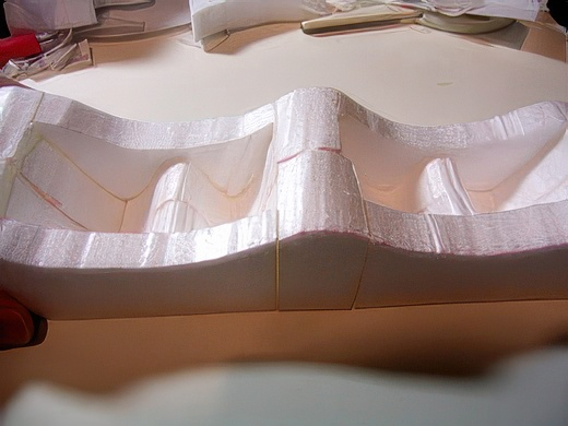 RIMG4660-topaz-standard v2-2x.jpg