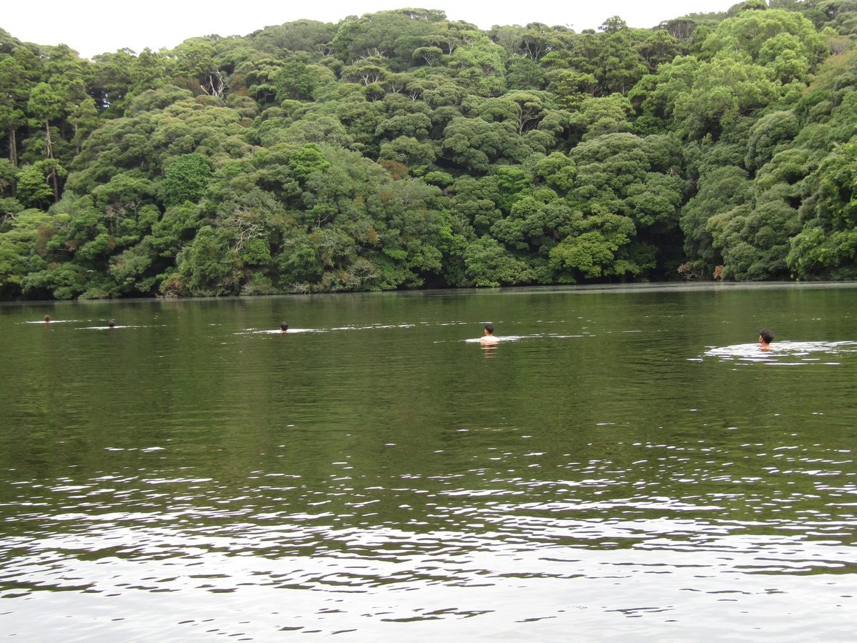 image_s012.jpg