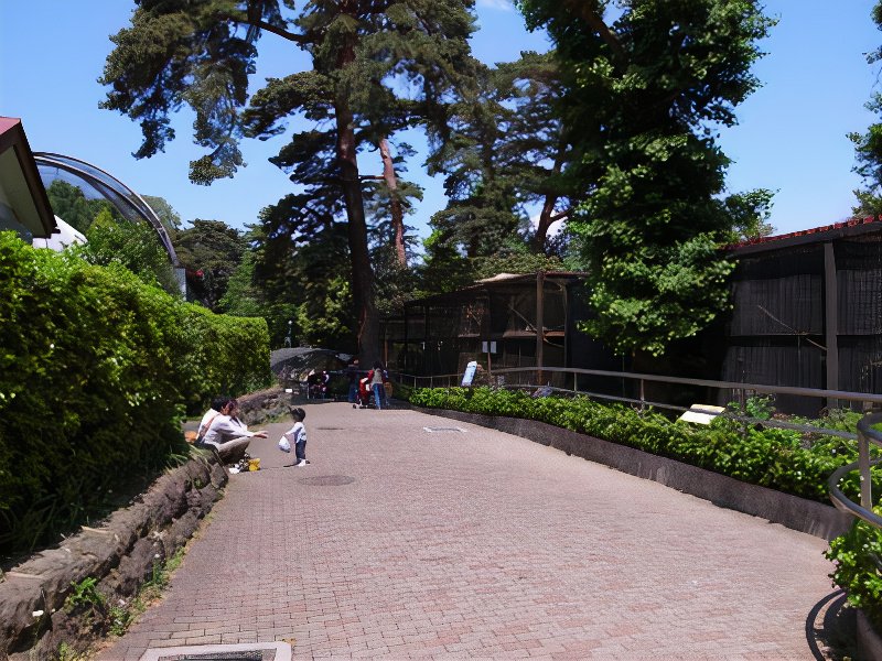 012_photos_v2_x2.jpg