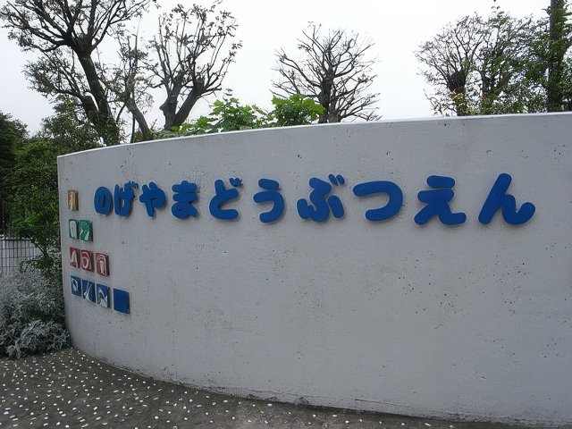 038-topaz-standard v2-640w.jpg