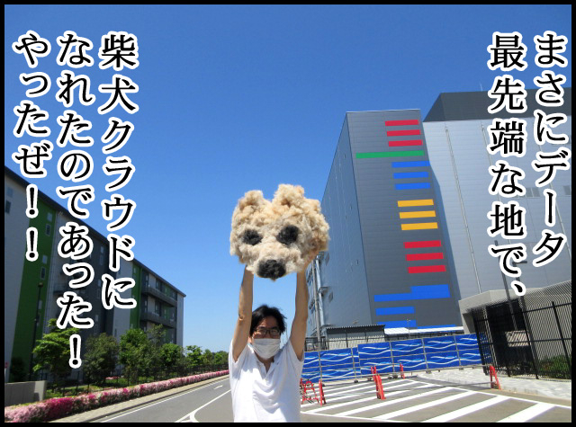 d02.jpg