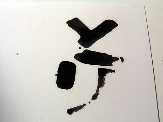 RIMG3410-topaz-standard v2-2x.jpg