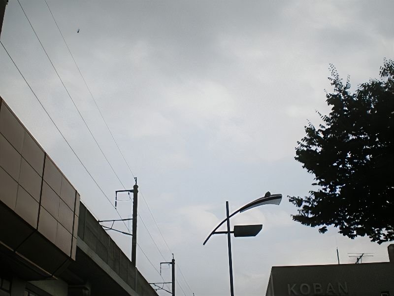 ゲリラ豪雨25_photos_v2_x2.jpg