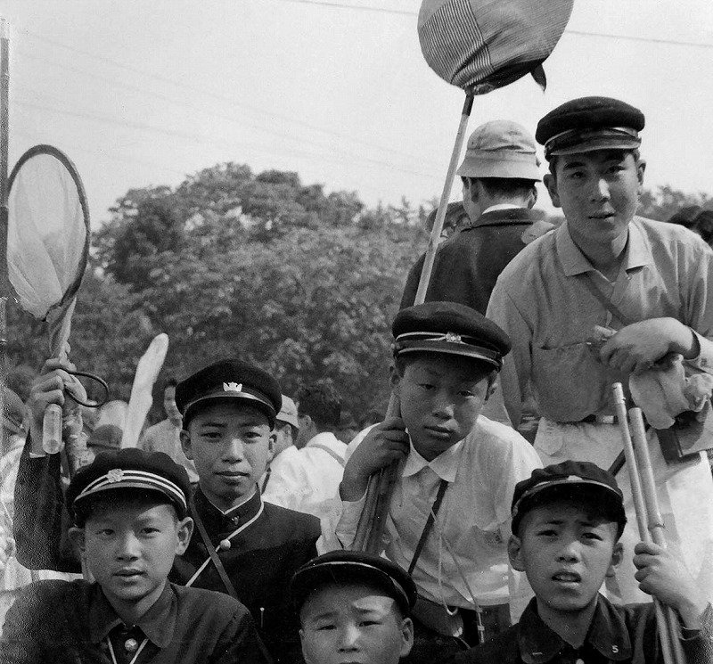 採集.jpg